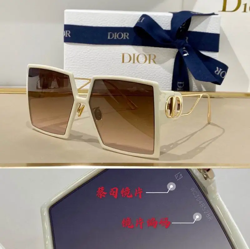 Dior Glasses smh (85)